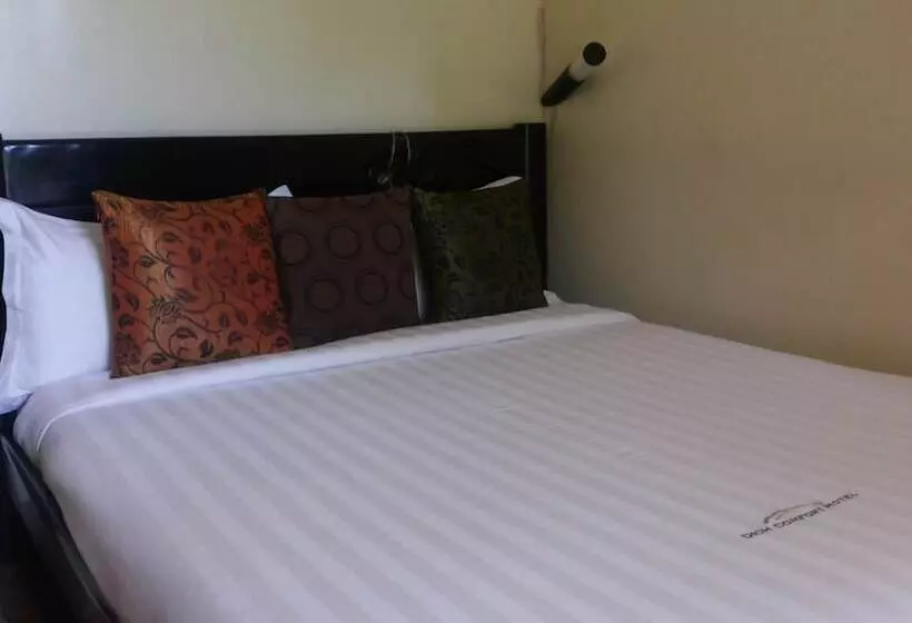Dich Comfort Hotel   Main Branch