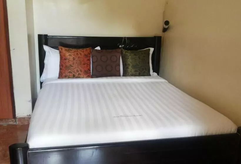 Dich Comfort Hotel   Main Branch