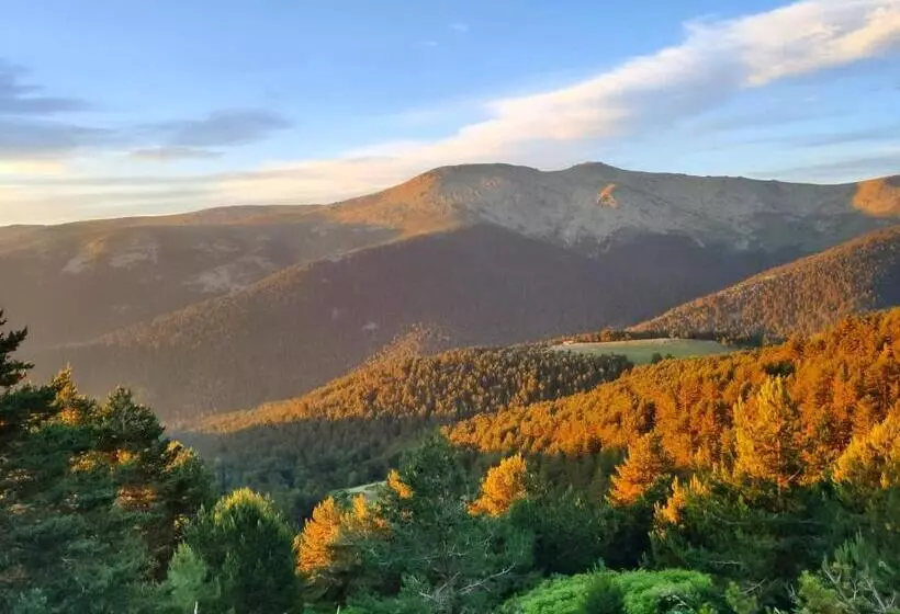 هتل روستایی Rural Los Manzanos
