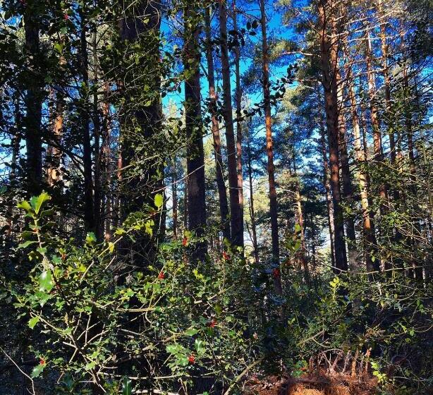 교외 호텔 Rural Los Manzanos