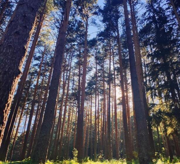 교외 호텔 Rural Los Manzanos