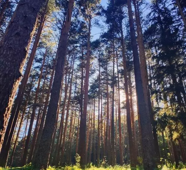 هتل روستایی Rural Los Manzanos