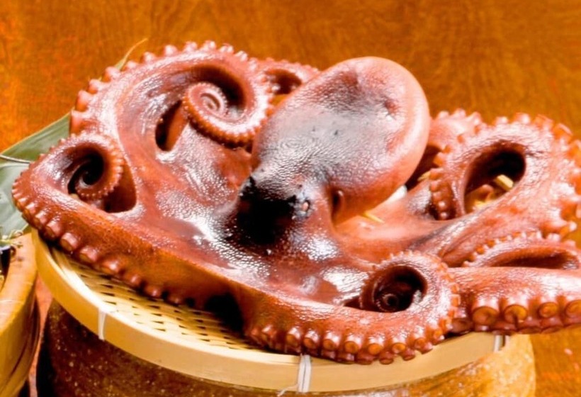 ريوكان Himakajima Isuzukan