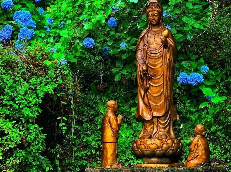 ريوكان Kinosato Yamanoyu