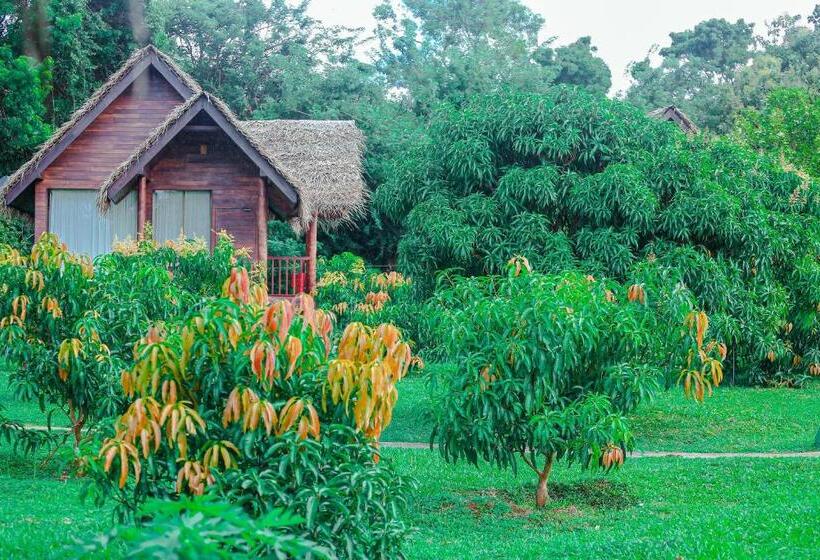 Sigiriya Water Cottage