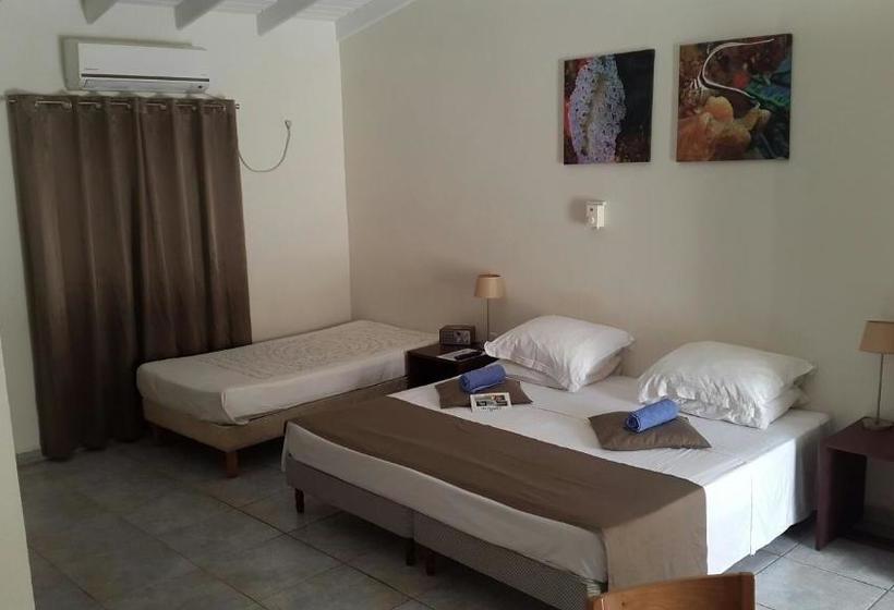 تختخواب و صبحانه The Lizard Boutique