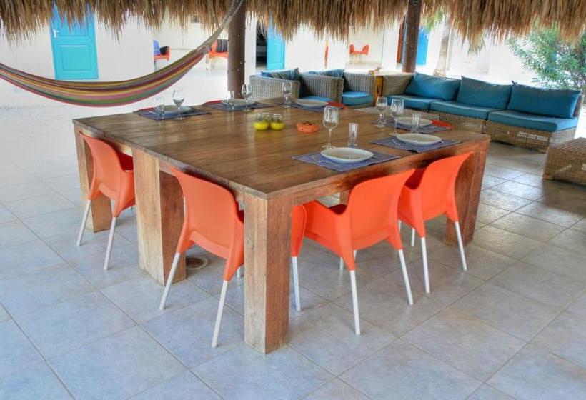 تختخواب و صبحانه The Lizard Boutique