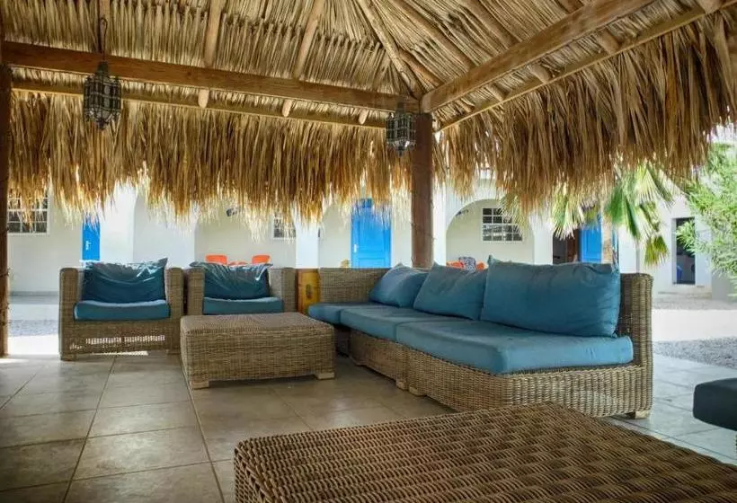 تختخواب و صبحانه The Lizard Boutique