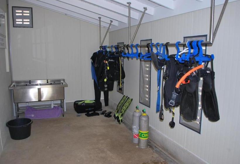 تختخواب و صبحانه The Lizard Boutique