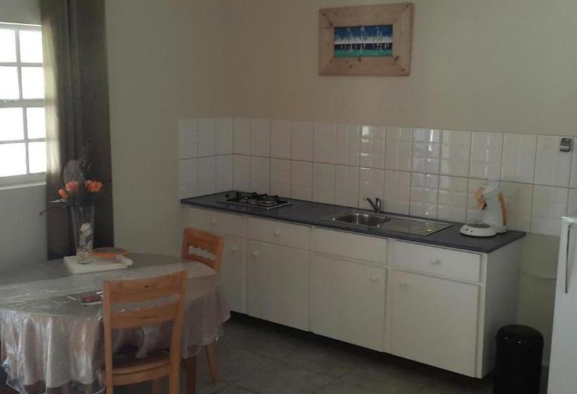 تختخواب و صبحانه The Lizard Boutique