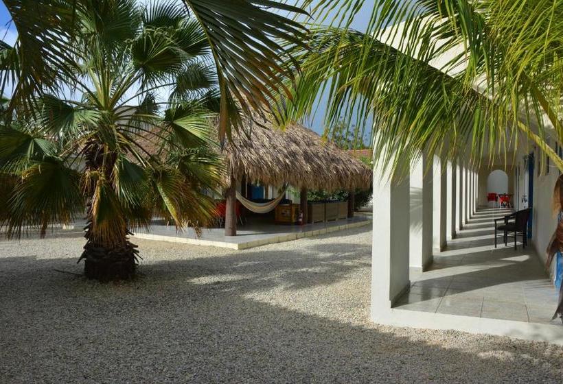 تختخواب و صبحانه The Lizard Boutique