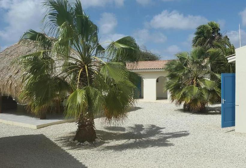 تختخواب و صبحانه The Lizard Boutique