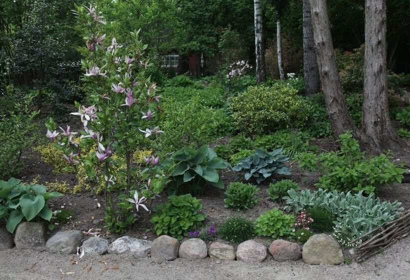 Bed & Breakfast Horsens