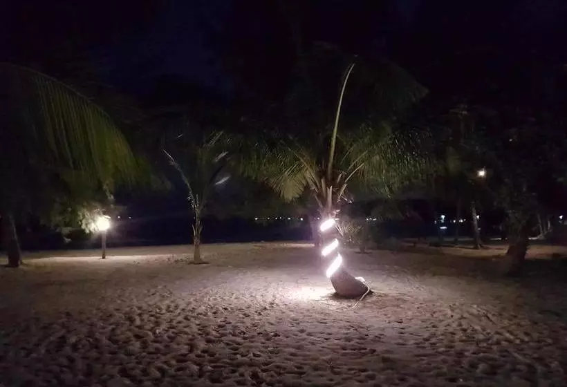 リゾートホテル Malibu Hostel