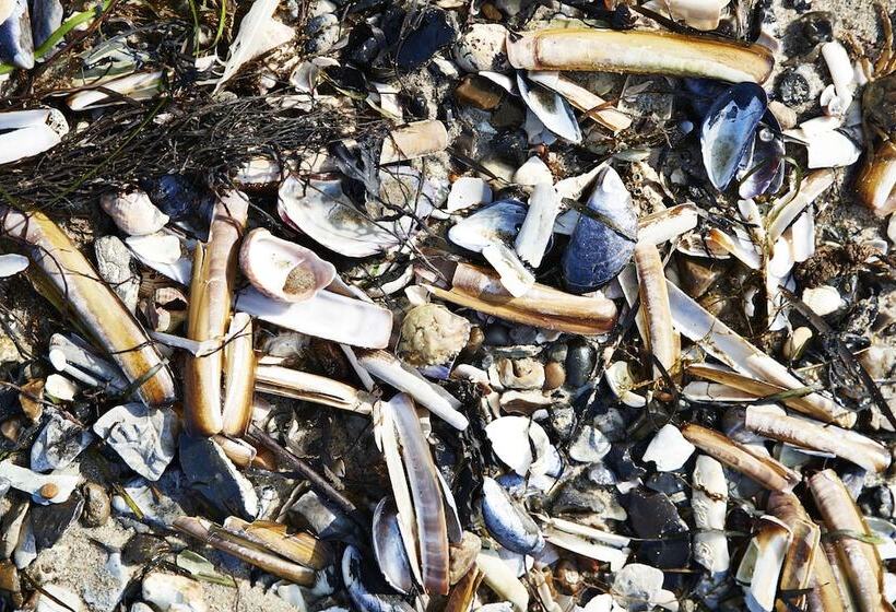 Danhostel Nykøbing Mors