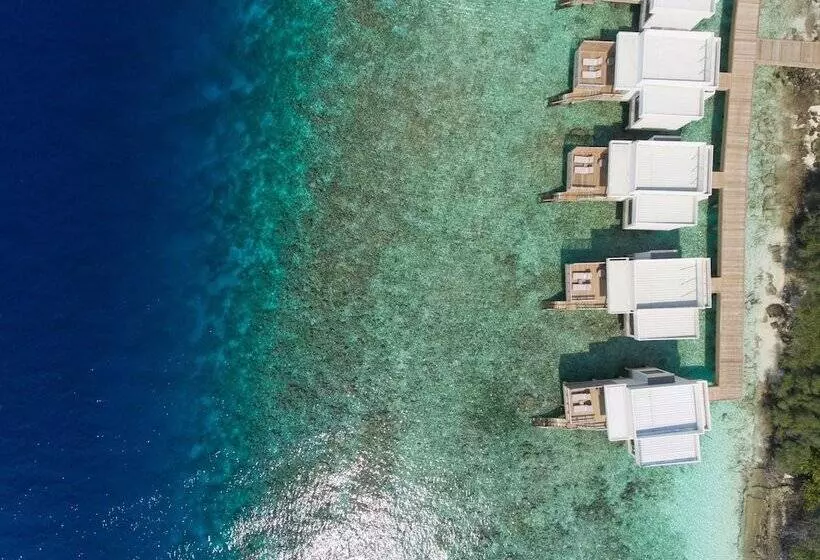 استراحتگاه  dhigali Maldives   Premium All Inclusive