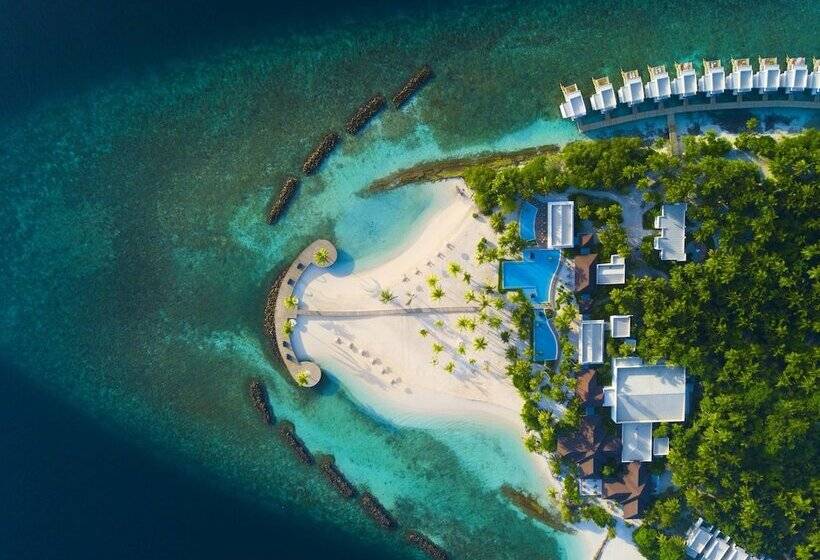 استراحتگاه  dhigali Maldives   Premium All Inclusive