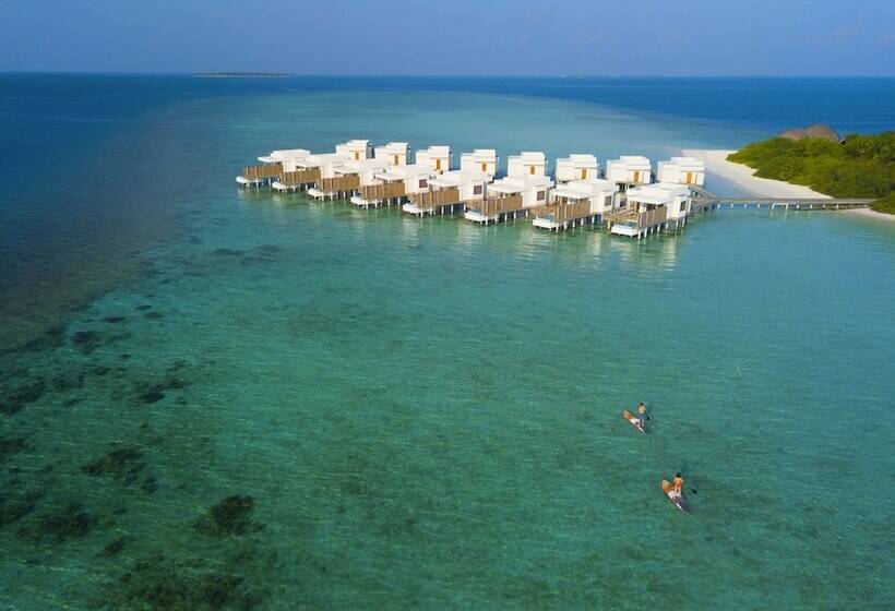 استراحتگاه  dhigali Maldives   Premium All Inclusive