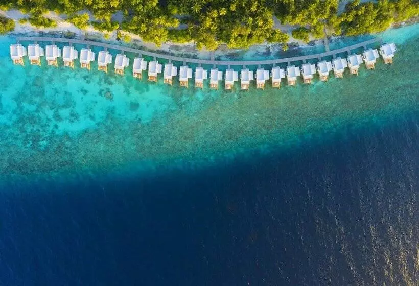 استراحتگاه  dhigali Maldives   Premium All Inclusive