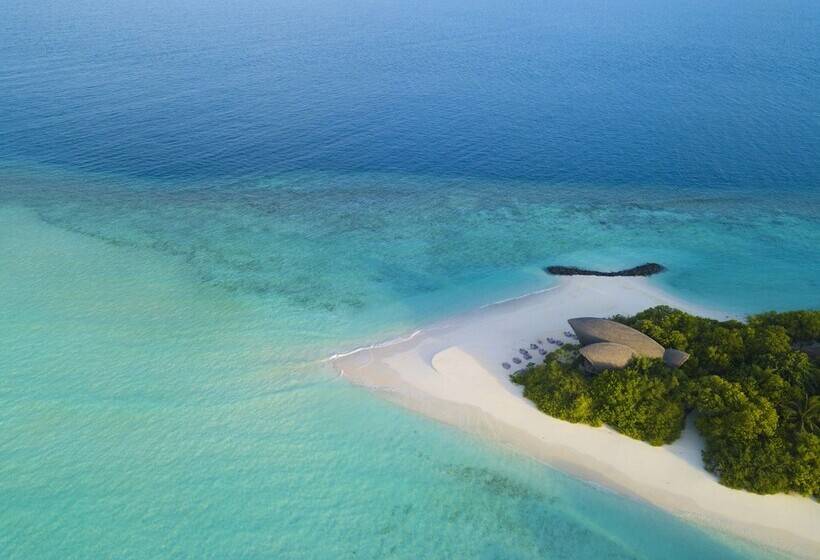 استراحتگاه  dhigali Maldives   Premium All Inclusive