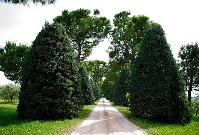 בית מלון כפרי Agriturismo Al Colle