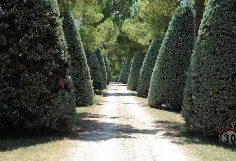 ホテル Agriturismo Al Colle