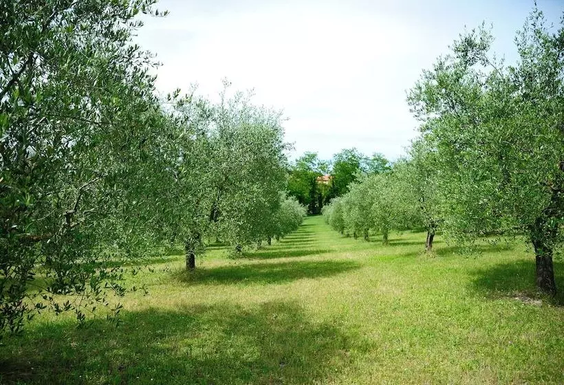 ホテル Agriturismo Al Colle