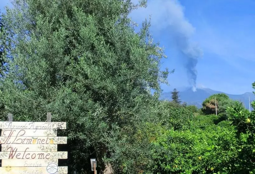 ホテル Il Limoneto Acireale