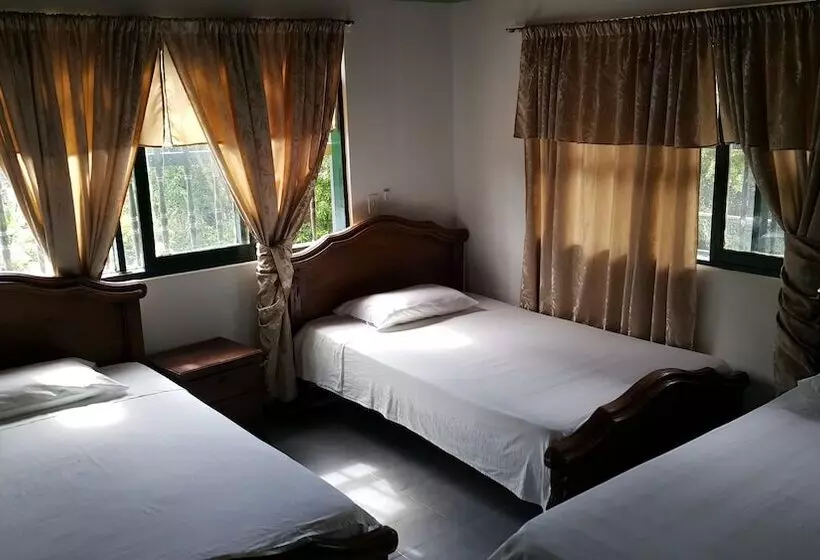 ホテル La Casa Amarela