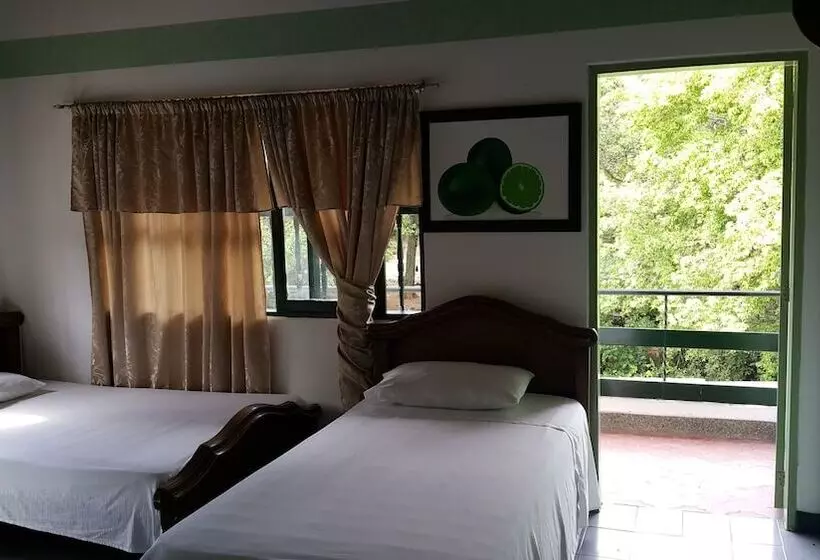 ホテル La Casa Amarela