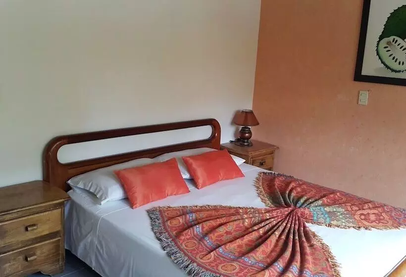 ホテル La Casa Amarela