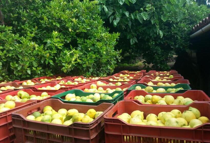 酒店 Il Limoneto Acireale
