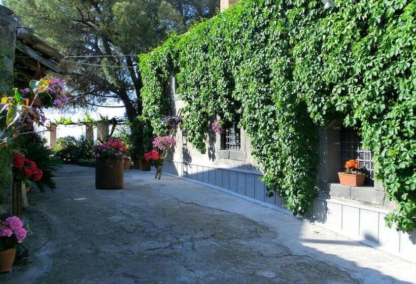 酒店 Il Limoneto Acireale