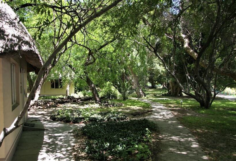 هتل Island Safari Lodge