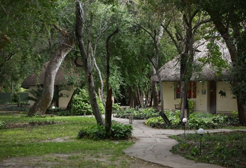 هتل Island Safari Lodge