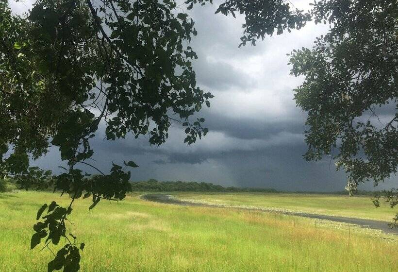 هتل Island Safari Lodge