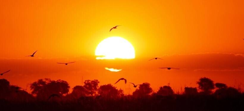 هتل Island Safari Lodge