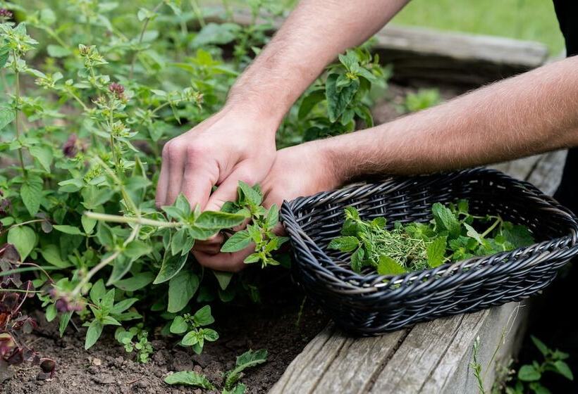 Vilcon Hotel & Konferencegaard