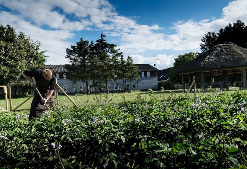 Vilcon Hotel & Konferencegaard