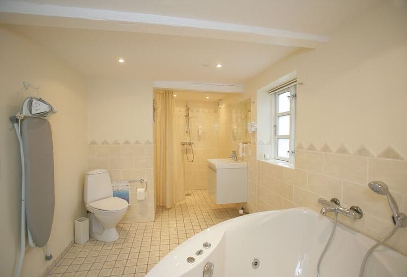 Vilcon Hotel & Konferencegaard