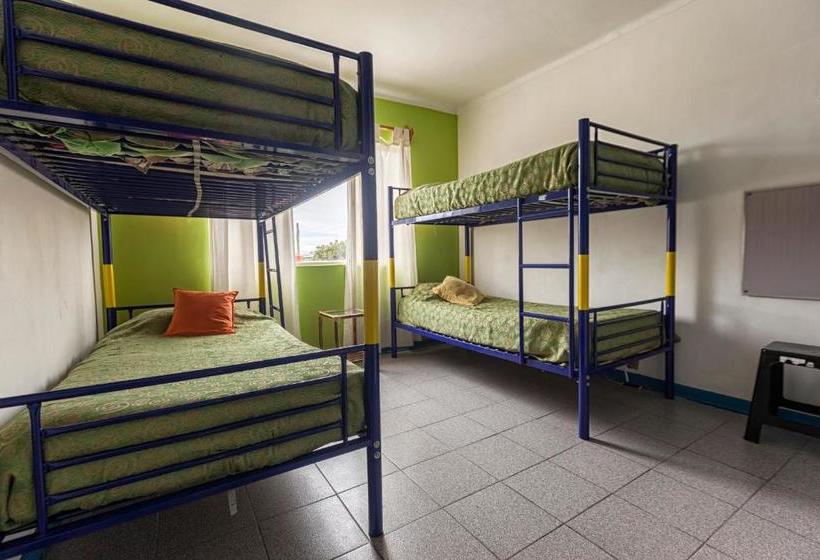 Aji Verde Hostel