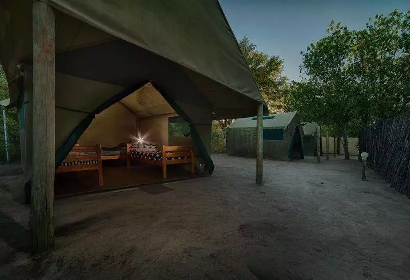 هاستل Motsebe Backpackers