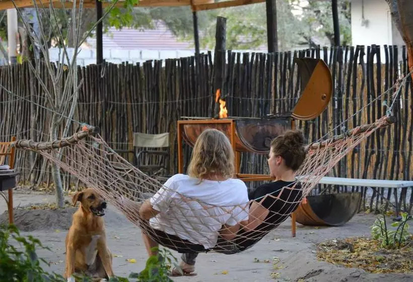 هاستل Motsebe Backpackers