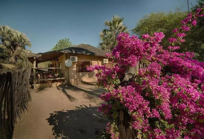 هاستل Motsebe Backpackers