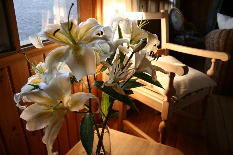 צימר Raices Bed&Breakfast