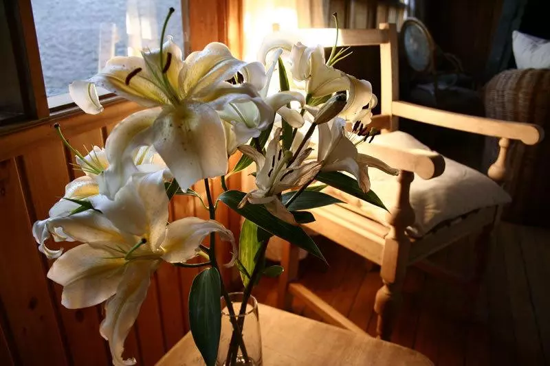 تختخواب و صبحانه Raices Bed&Breakfast