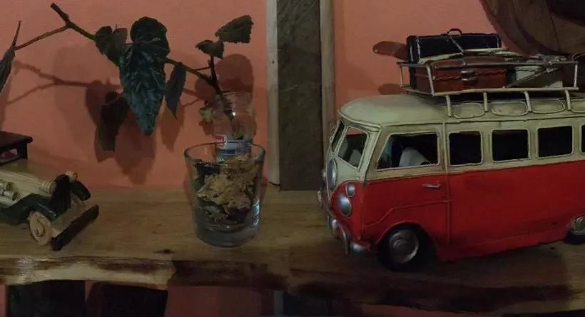 Hostal Benavente