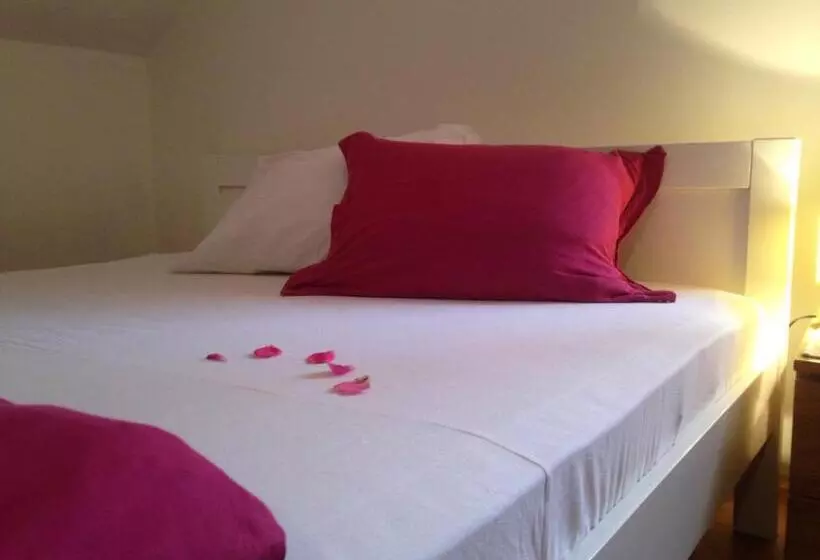 Hostel Lega House