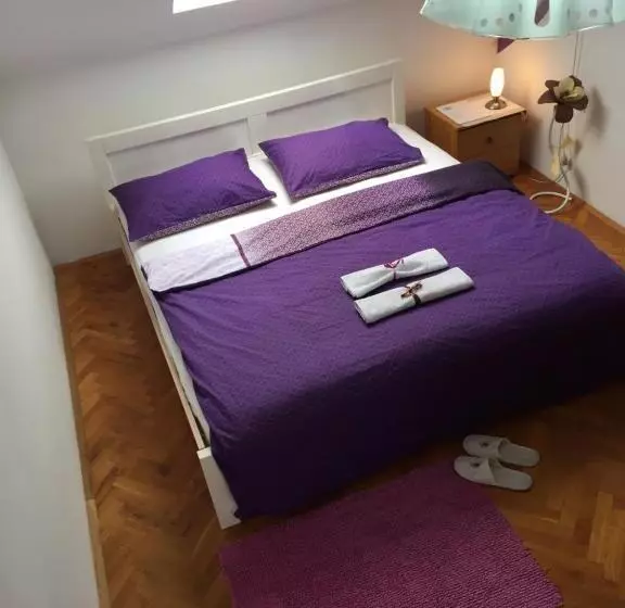 Hostel Lega House