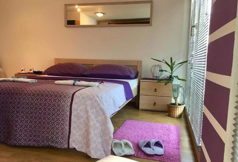 Hostel Lega House